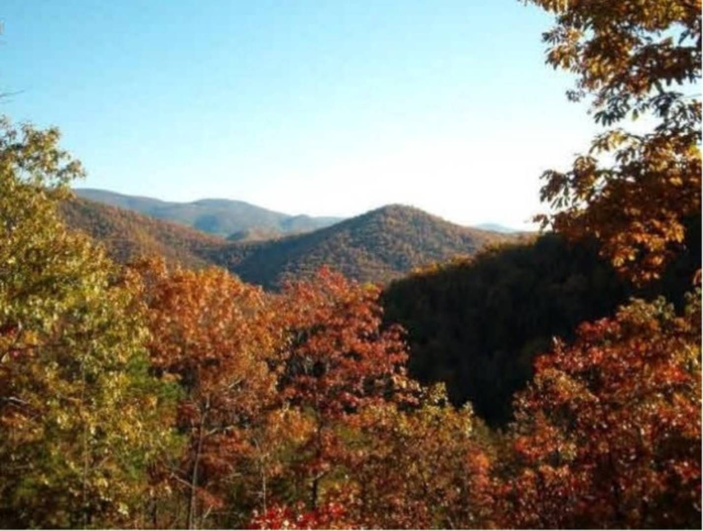 Elkton, Rockingham County, VA Undeveloped Land for sale Property ID 331552771 LandWatch