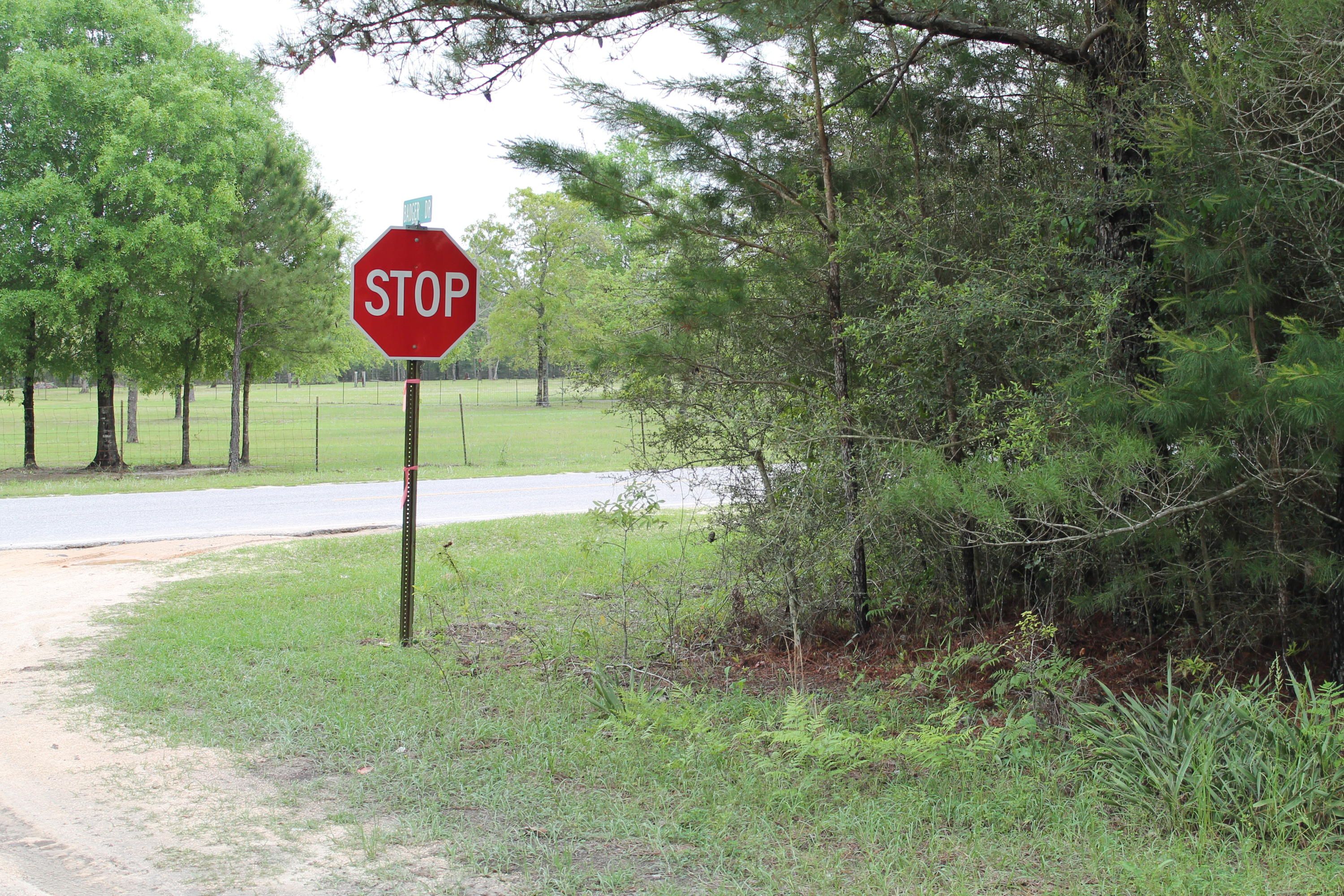 Mossy Head, Walton County, FL Undeveloped Land for sale Property ID