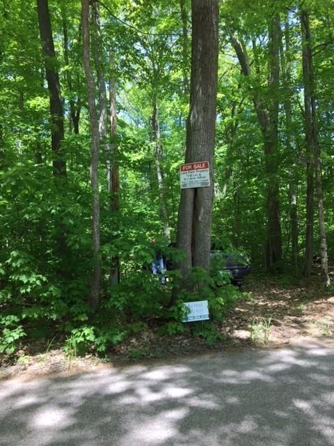 Gaylord, Otsego County, MI Undeveloped Land, Lakefront Property