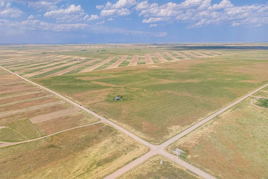 Briggsdale, Weld County, CO Undeveloped Land for sale Property ID