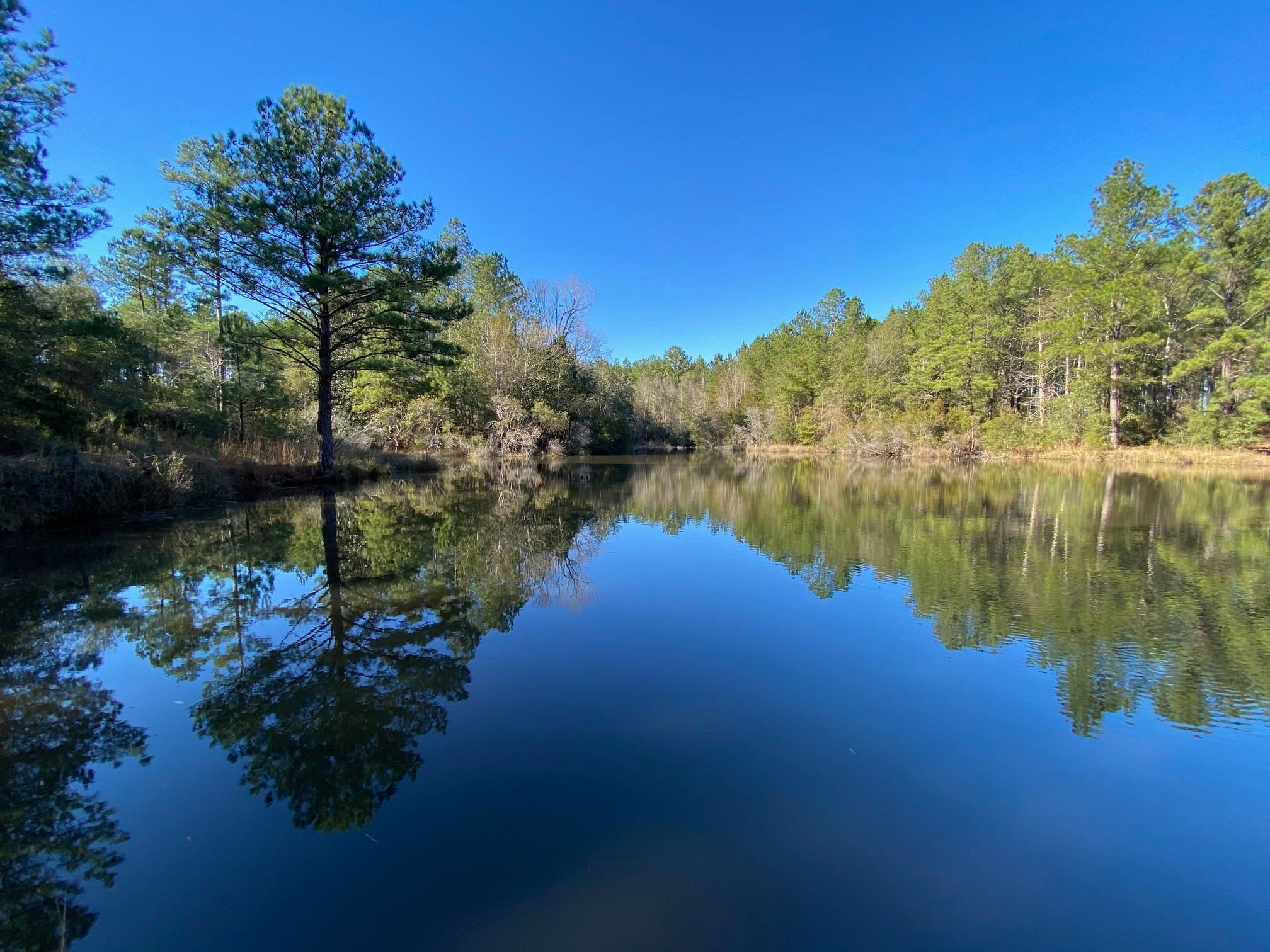 Baker, Okaloosa County, FL Undeveloped Land, Lakefront Property