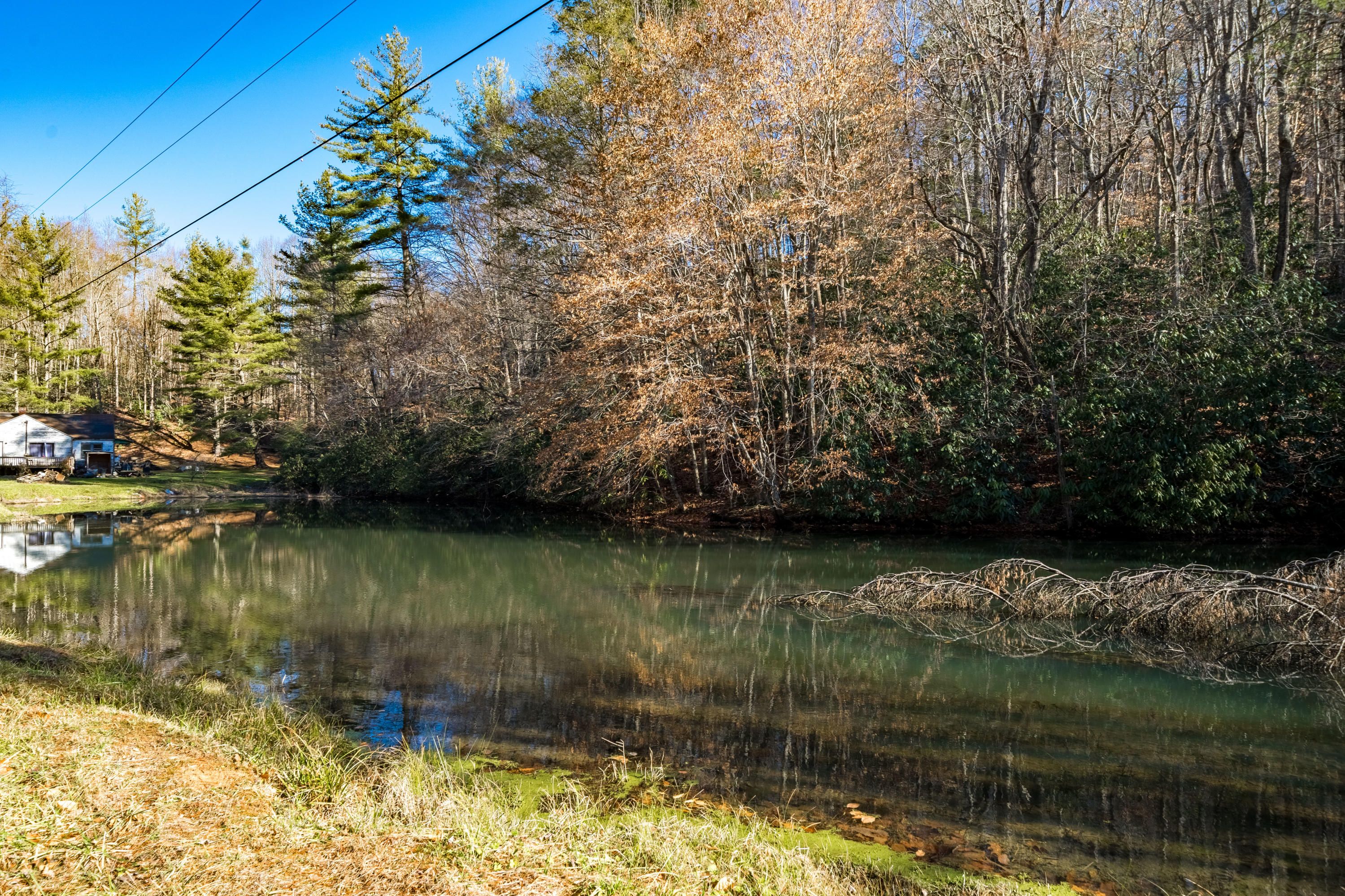 Unicoi, Unicoi County, TN Undeveloped Land for sale Property ID