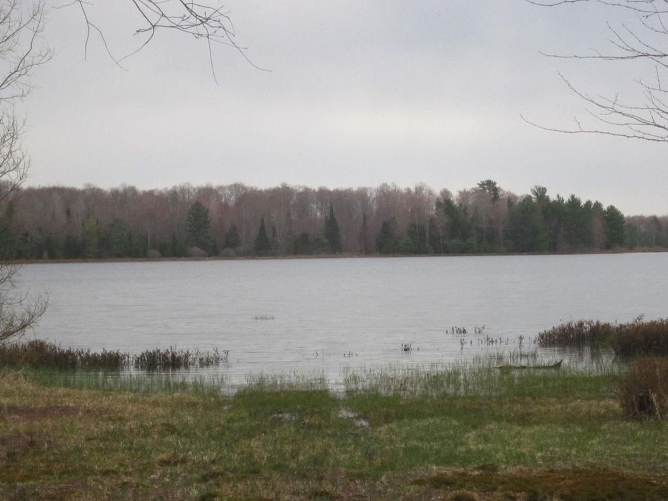 Germfask, Schoolcraft County, MI Undeveloped Land for sale Property ID