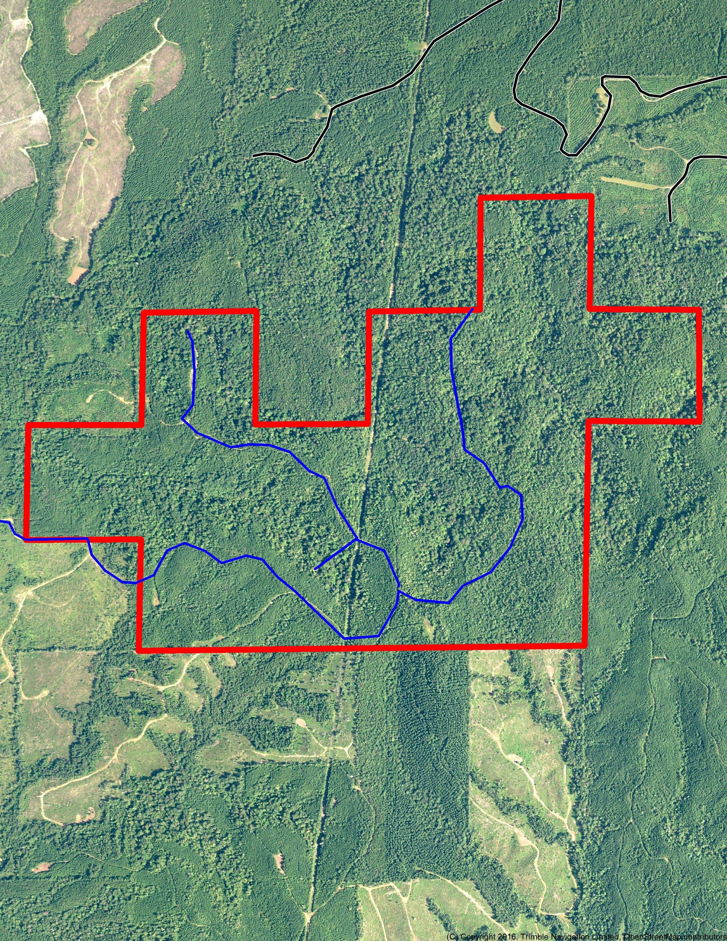 Camden, Wilcox County, AL Recreational Property, Timberland Property, Hunting Property for sale