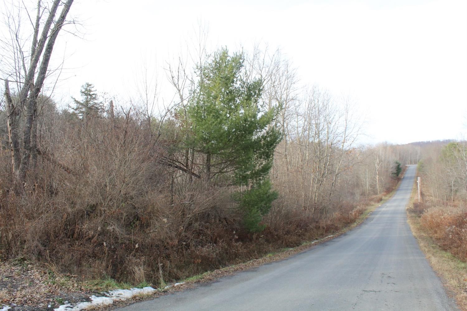 Butternuts, Otsego County, NY Undeveloped Land for sale Property ID