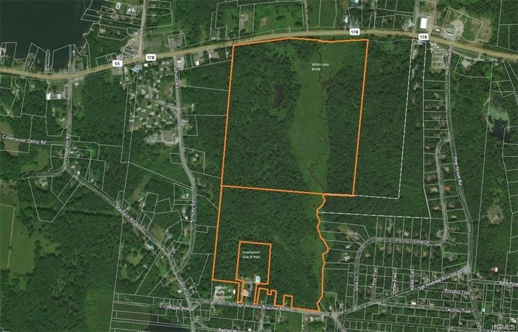 White Lake, Sullivan County, NY Undeveloped Land for sale Property ID