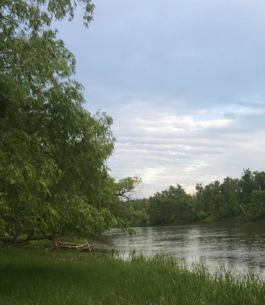 Merrifield, Crow Wing County, MN Undeveloped Land, Lakefront Property