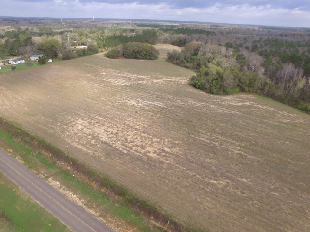 Cottonwood, Houston County, AL Undeveloped Land, Lakefront Property