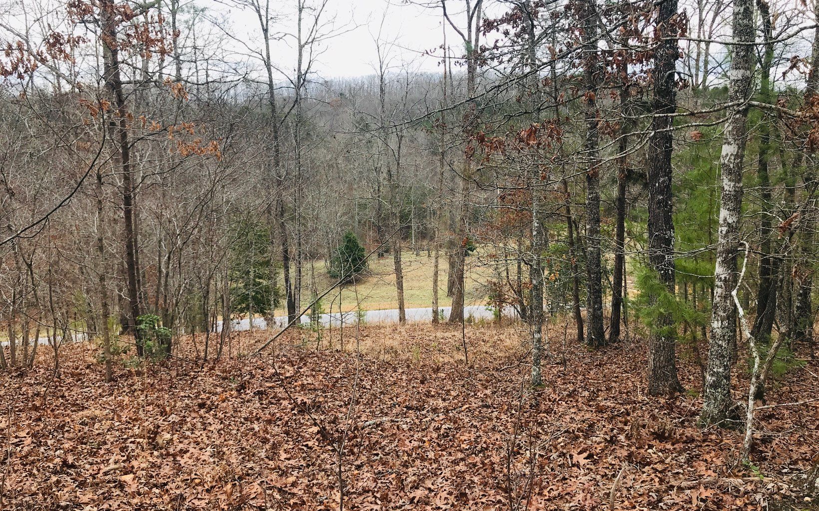 Blairsville, Union County, GA Undeveloped Land, Homesites for sale