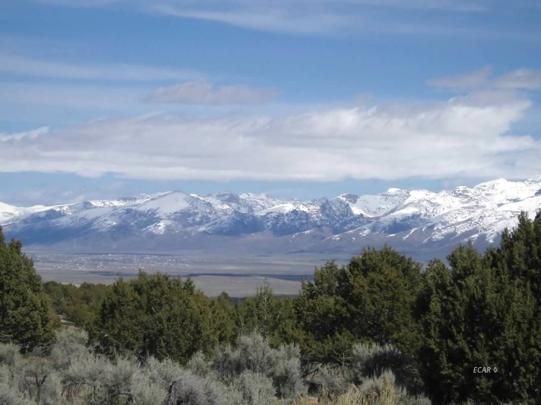 Spring Creek, Elko County, NV Undeveloped Land for sale Property ID
