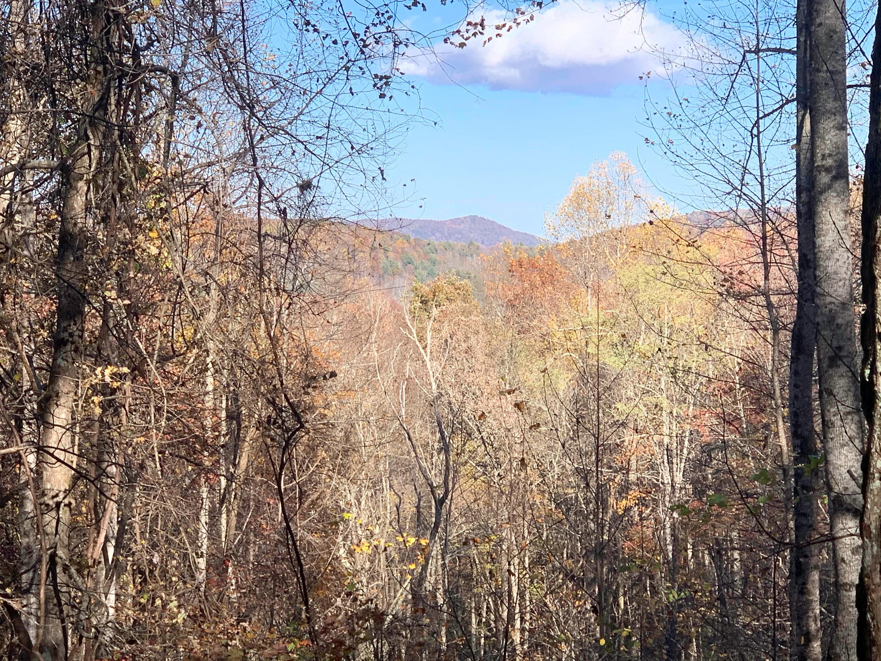 Cedar Mountain, Transylvania County, NC Recreational Property for sale