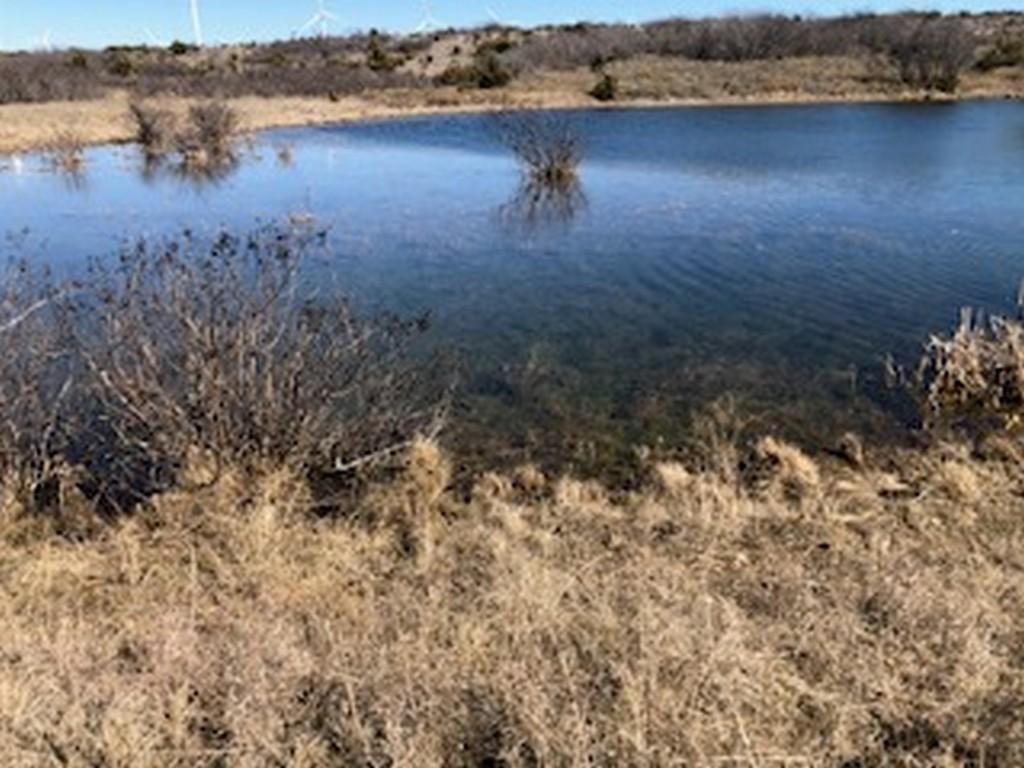 Nolan, Nolan County, TX Farms and Ranches for sale Property ID