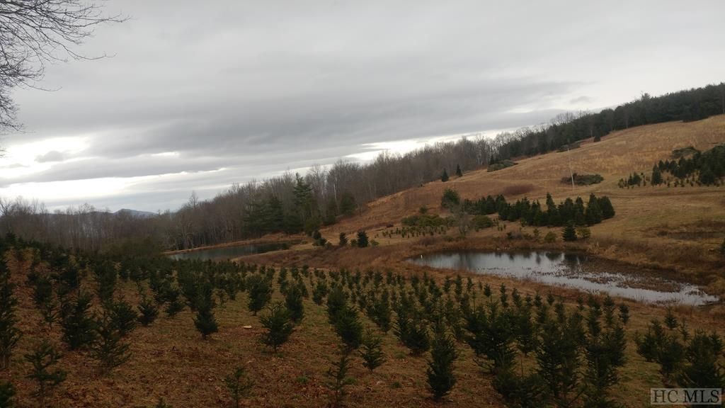 Glenville, Jackson County, NC Undeveloped Land for sale Property ID 337260553 LandWatch