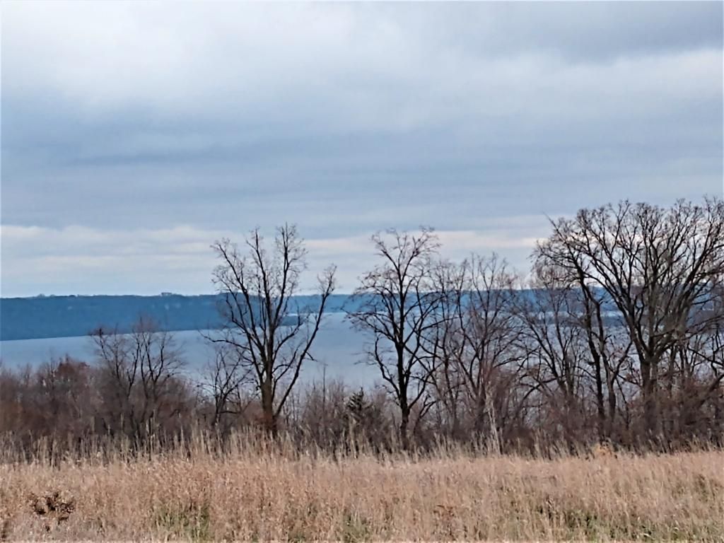 Maiden Rock, Pierce County, WI Undeveloped Land, Homesites for sale