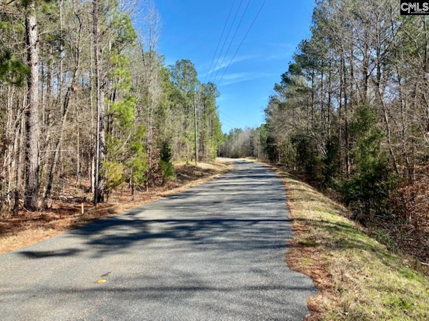 Ridgeway, Fairfield County, SC Undeveloped Land for sale Property ID