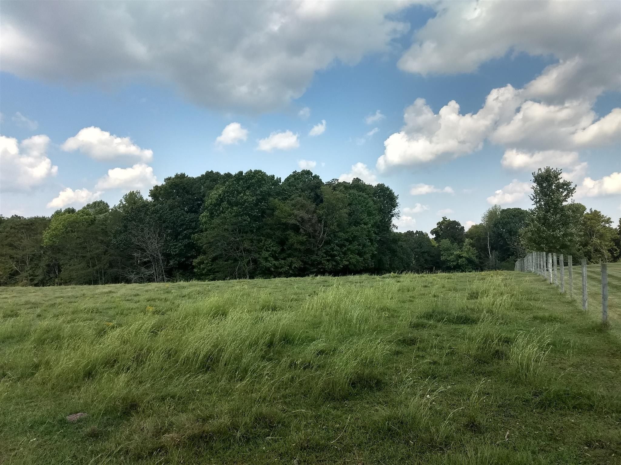 Clarksville, Montgomery County, TN Farms and Ranches for sale Property