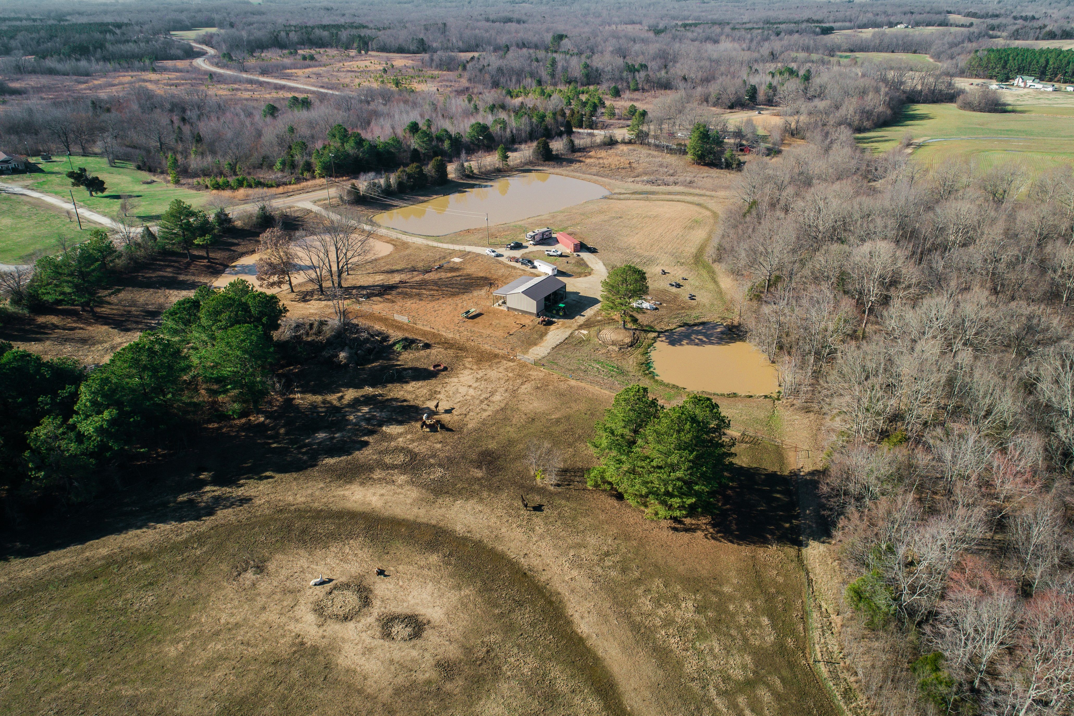 Denmark, Hardeman County, TN Farms and Ranches for sale Property ID