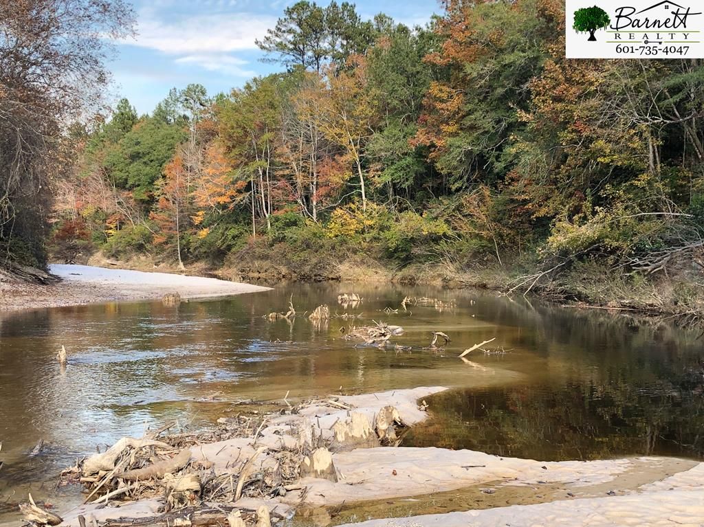 Buckatunna, Wayne County, MS Undeveloped Land for sale Property ID 337398556 LandWatch