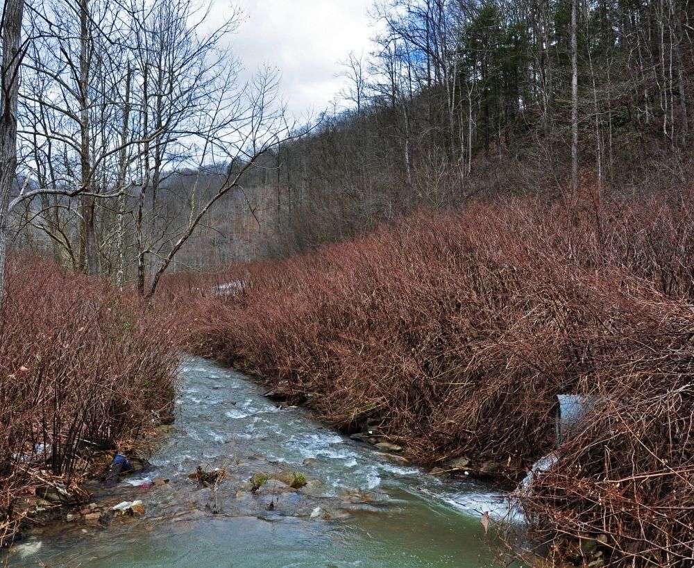 Panther, McDowell County, WV Recreational Property, Timberland Property
