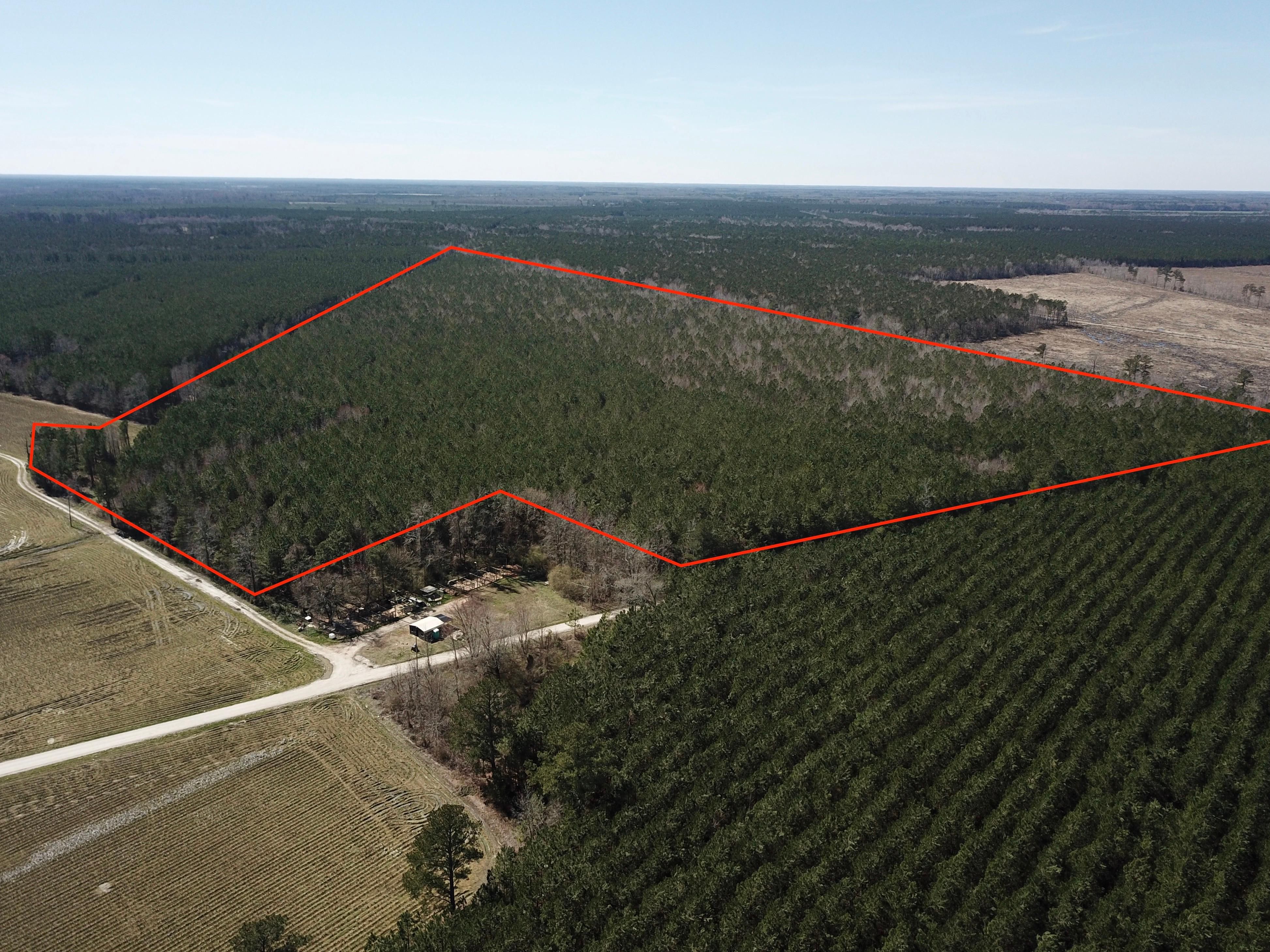 Aulander, Bertie County, NC Recreational Property, Timberland Property