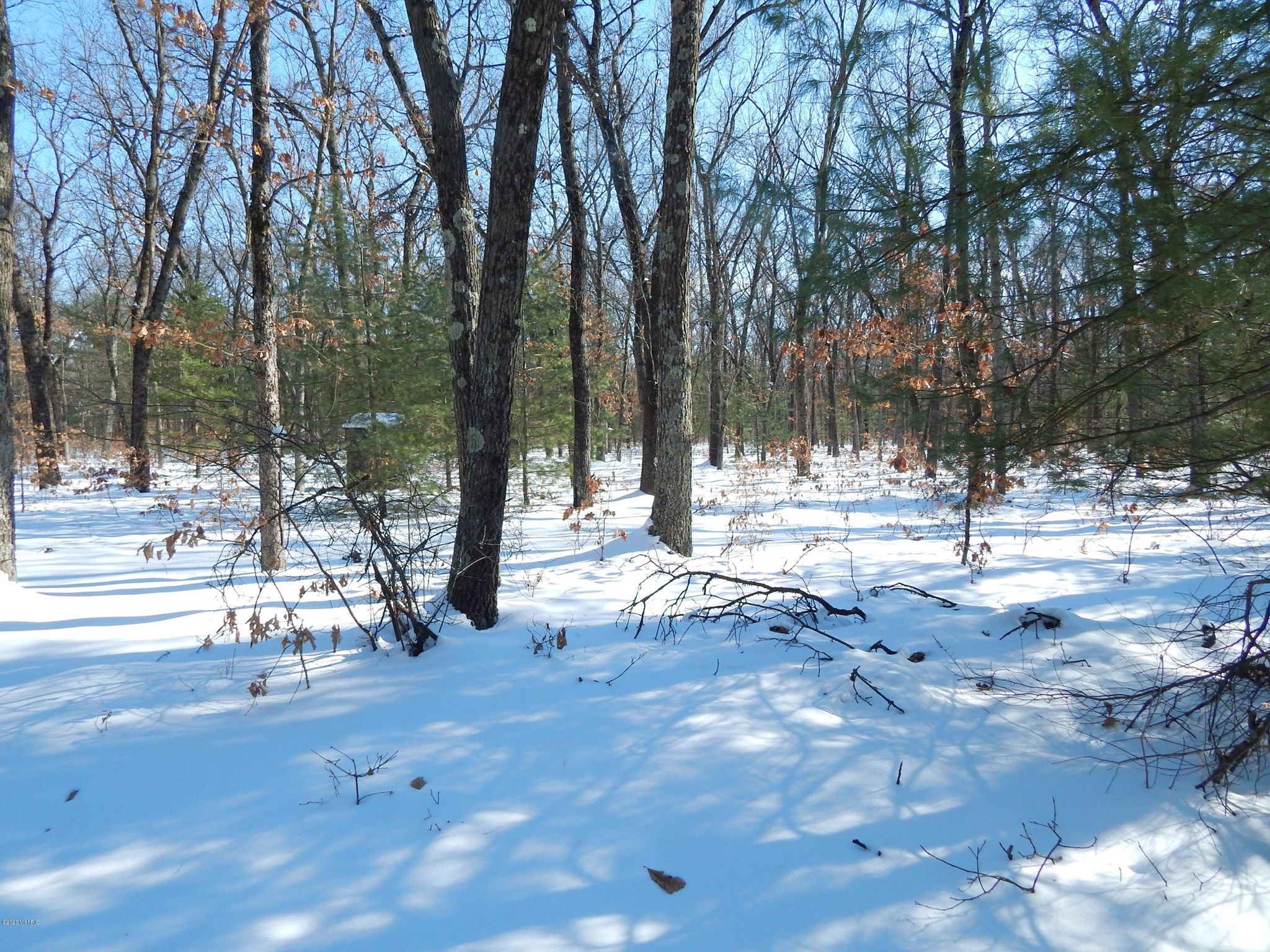 Newaygo, Newaygo County, MI Undeveloped Land, Homesites for sale