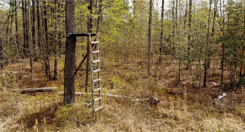 Stony Creek, Sussex County, VA Farms and Ranches for sale Property ID