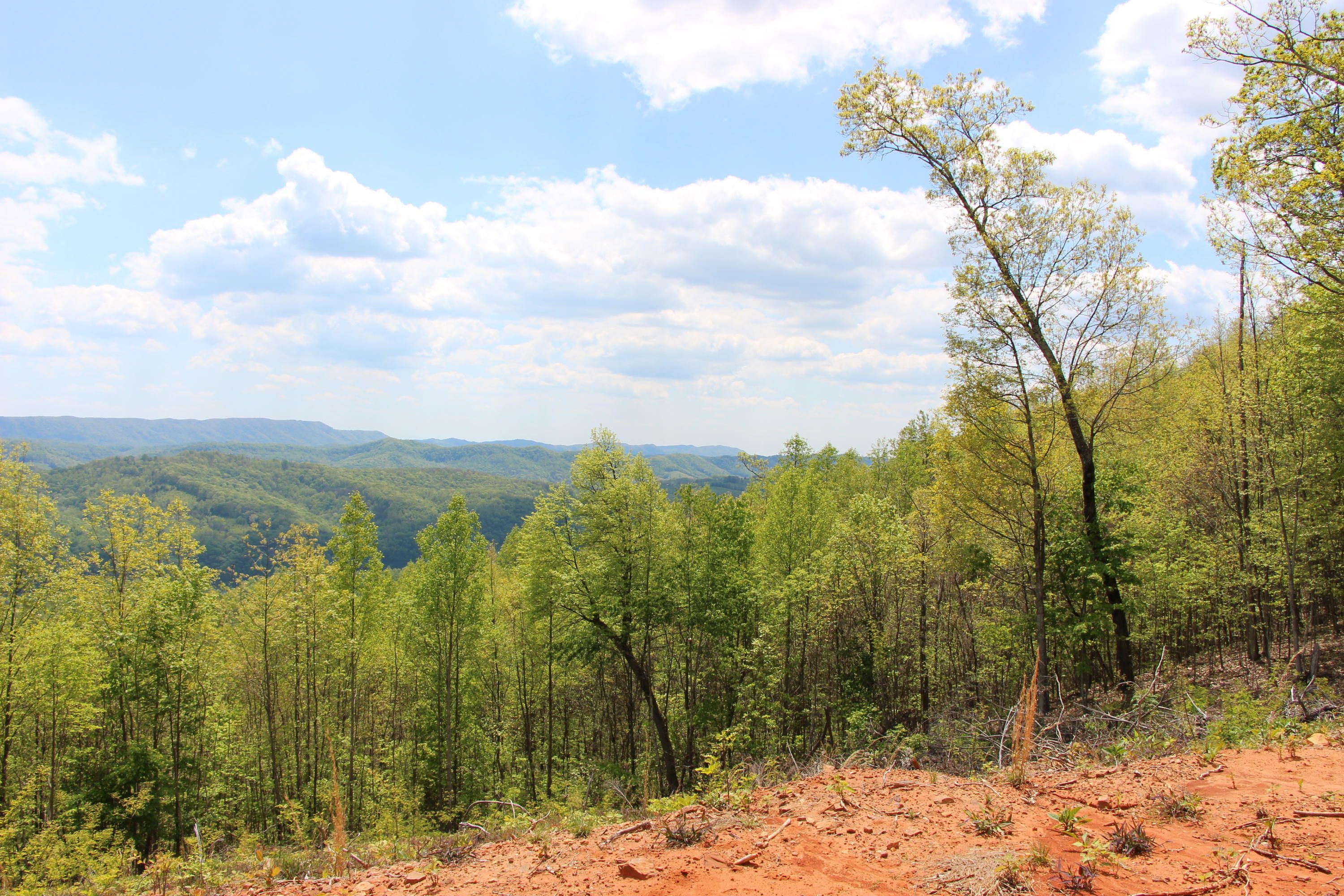 New Tazewell, Claiborne County, TN Undeveloped Land for sale Property