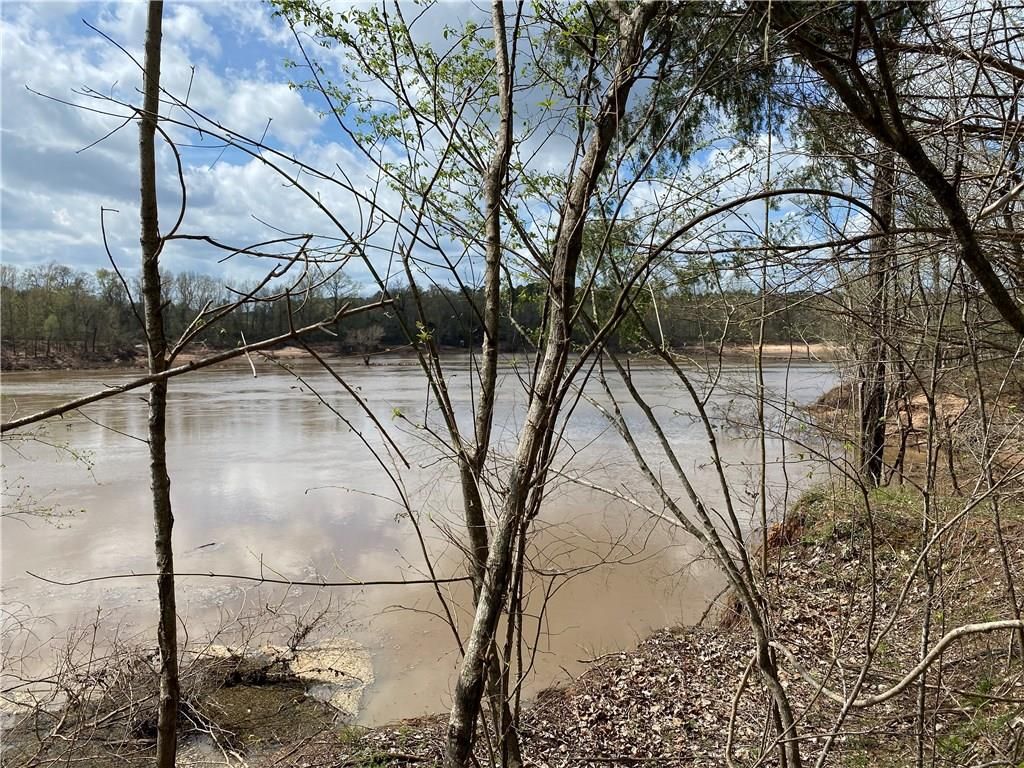 Colfax, Grant Parish, LA Undeveloped Land, Lakefront Property