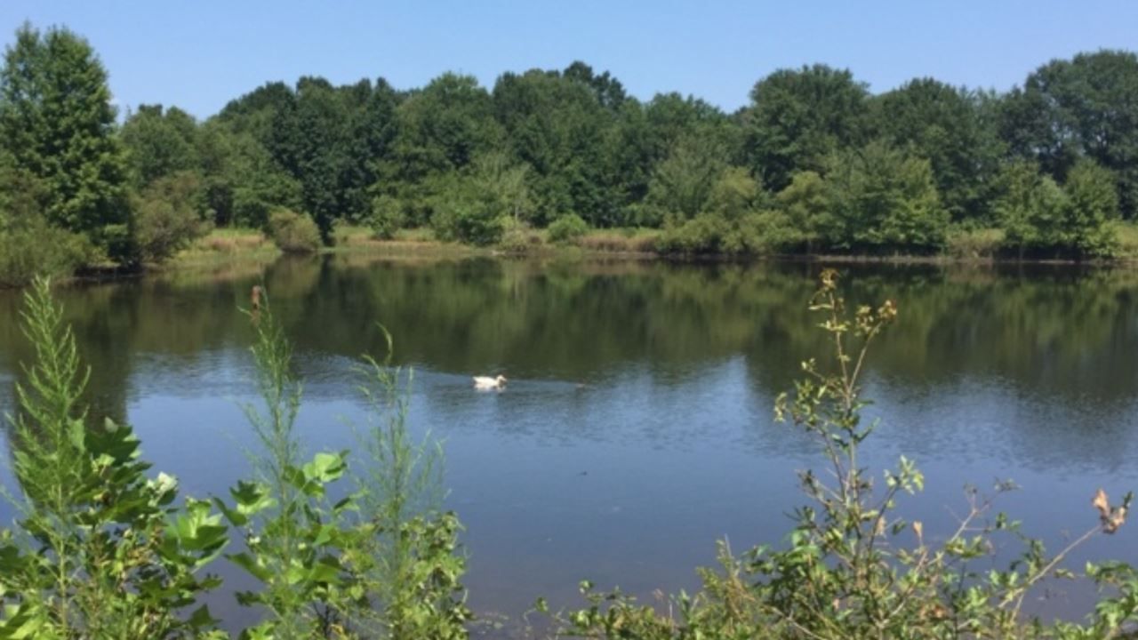 Gaffney, Cherokee County, SC Undeveloped Land for sale Property ID 337723175 LandWatch