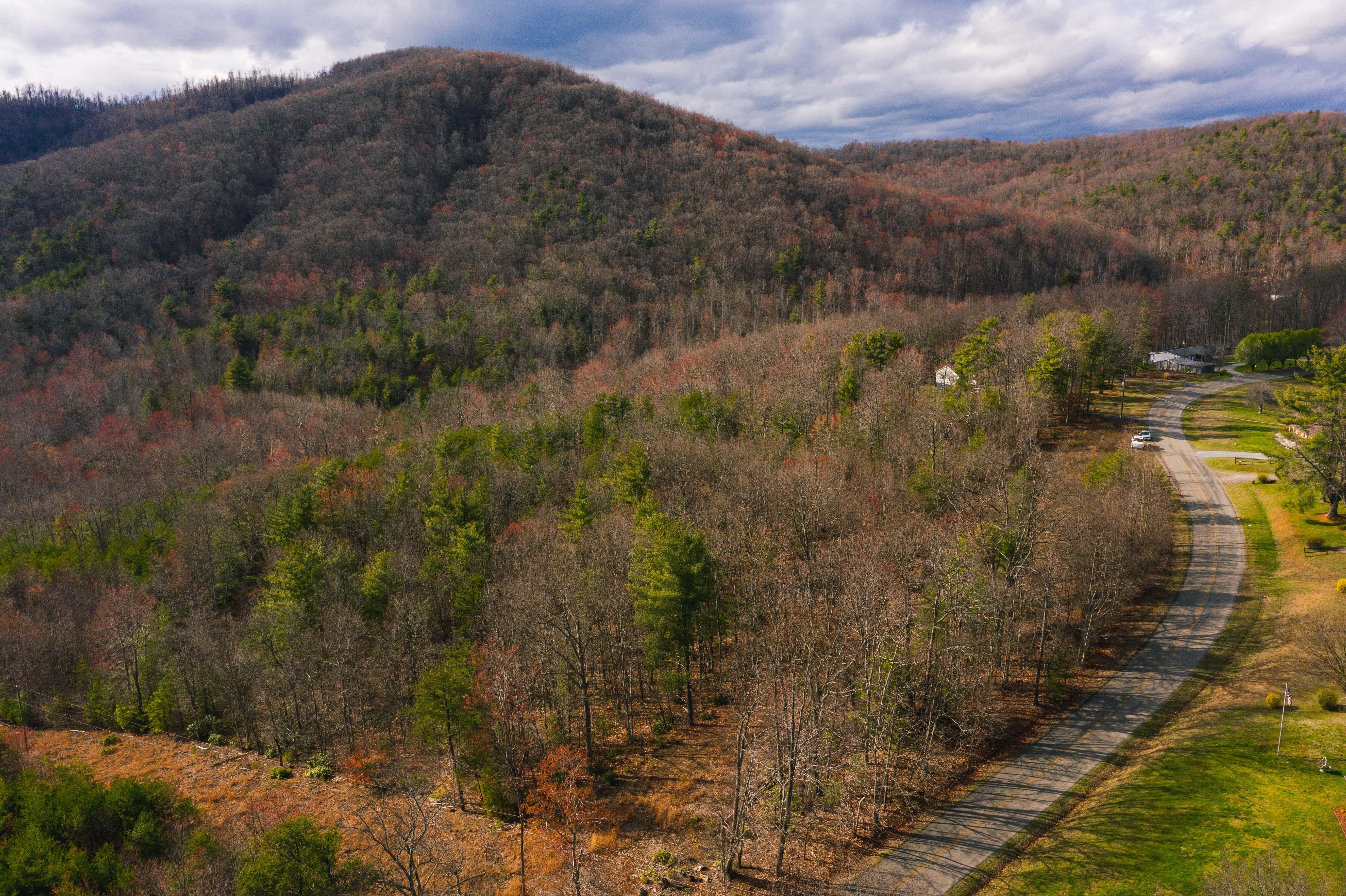 Ferrum, Franklin County, VA Timberland Property, Hunting Property for