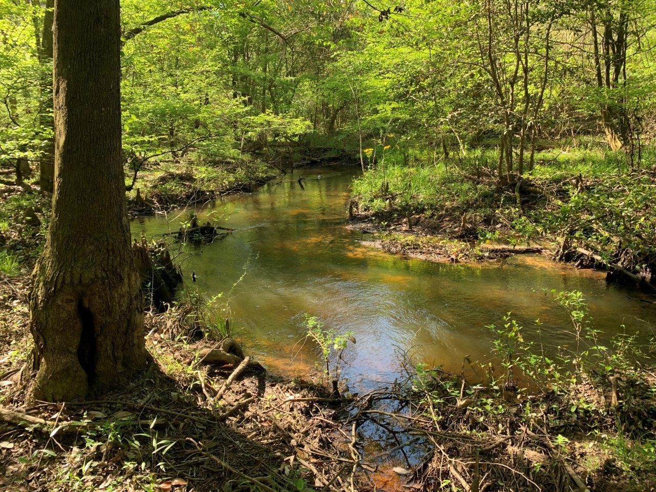 Evergreen, Conecuh County, AL Recreational Property, Timberland Property, Hunting Property for