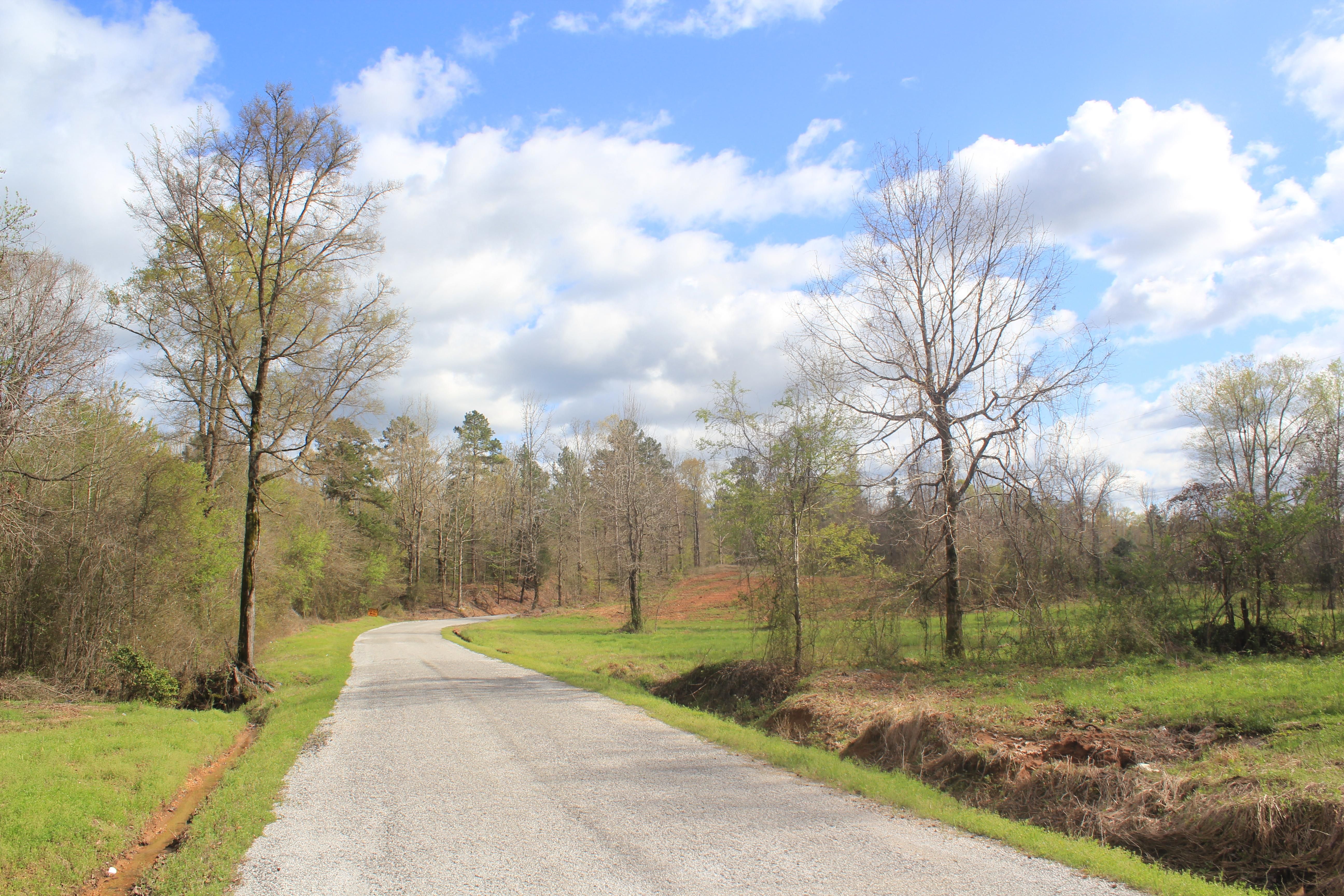 Waterford, Marshall County, MS Recreational Property, Timberland