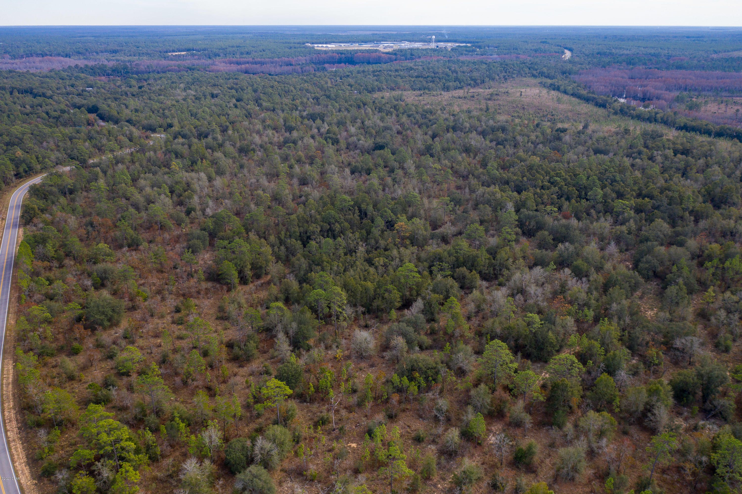 Chipley, Washington County, FL Undeveloped Land for sale Property ID