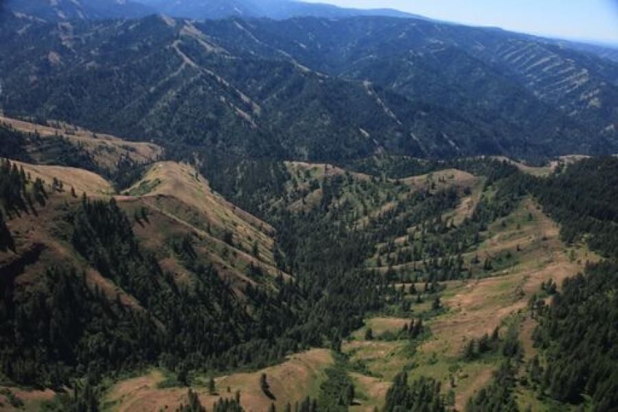 Pendleton, Umatilla County, OR Recreational Property, Timberland