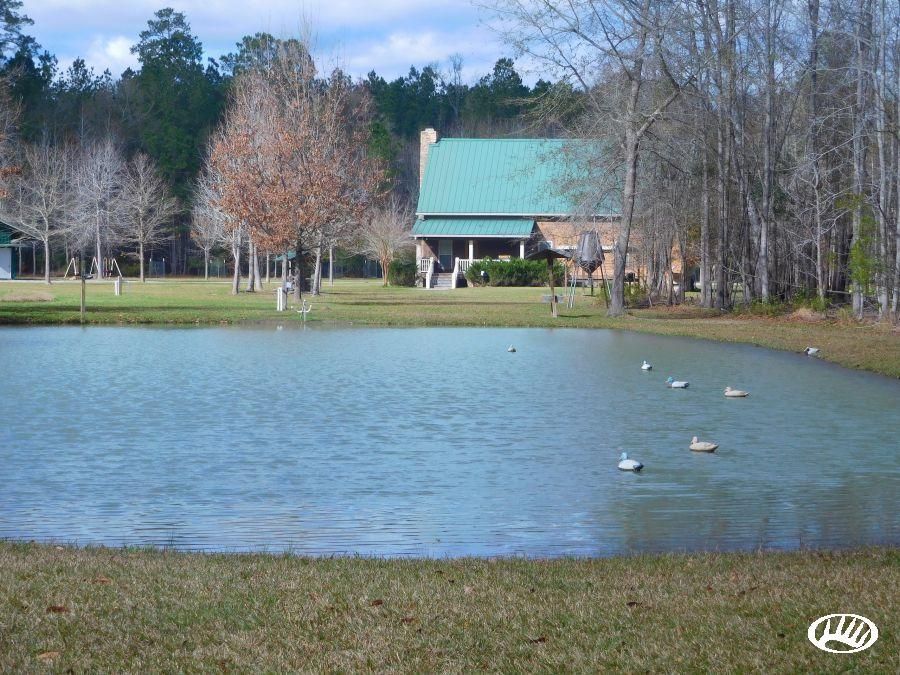 Varnville, Hampton County, SC Recreational Property, Timberland