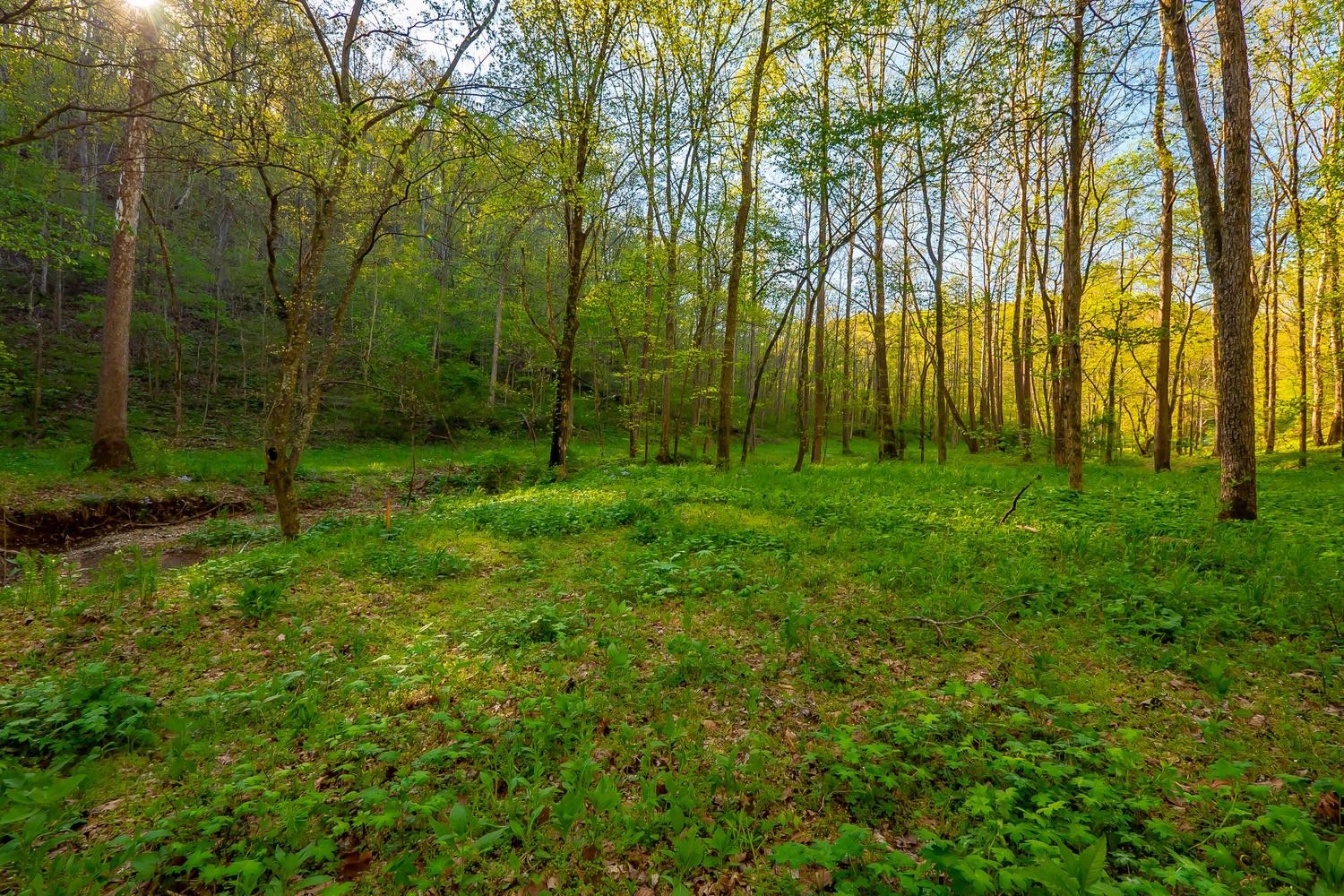 Pegram, Davidson County, TN Undeveloped Land, Homesites for sale