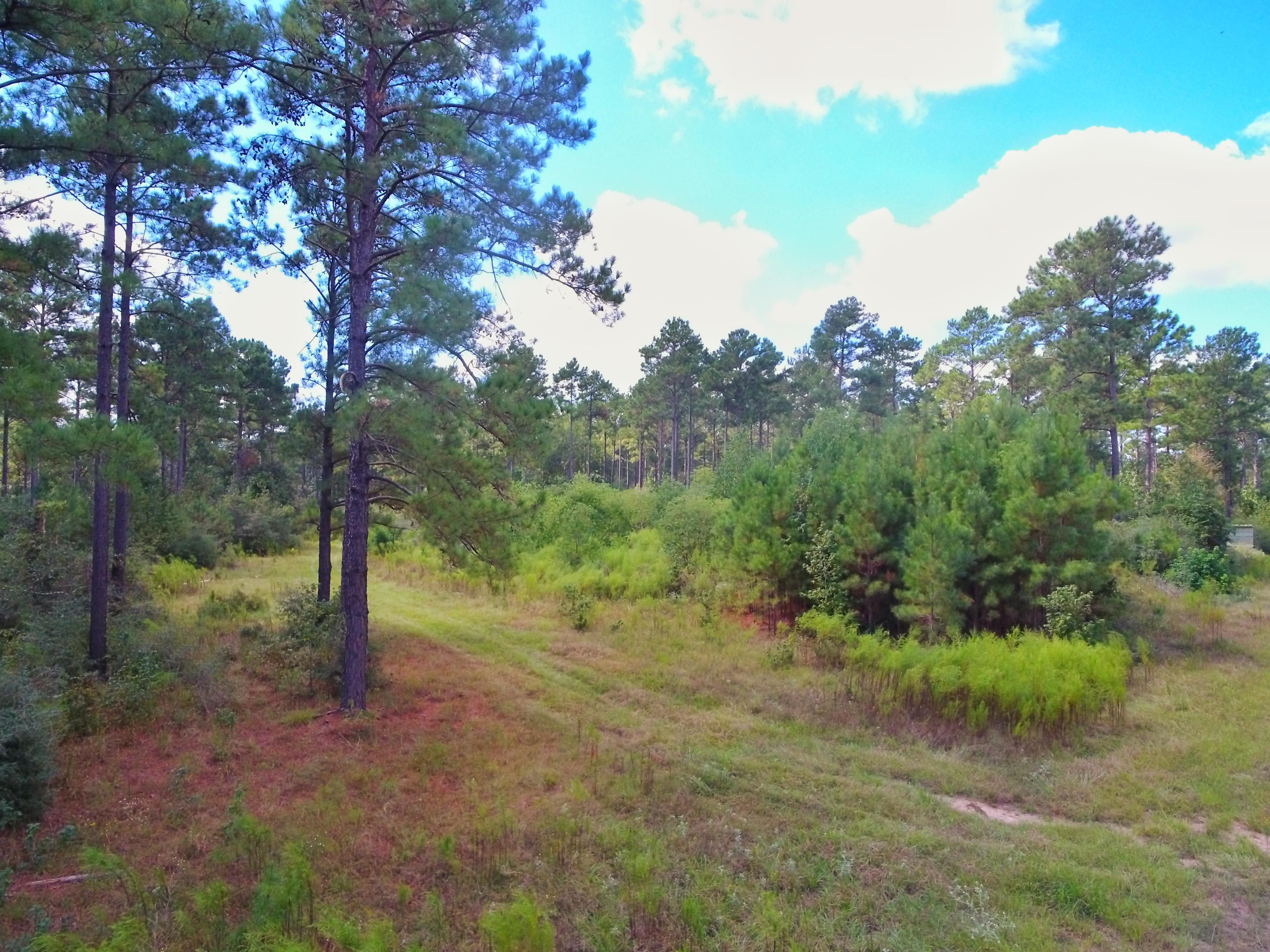 Groveton, Trinity County, TX Recreational Property for sale Property ID