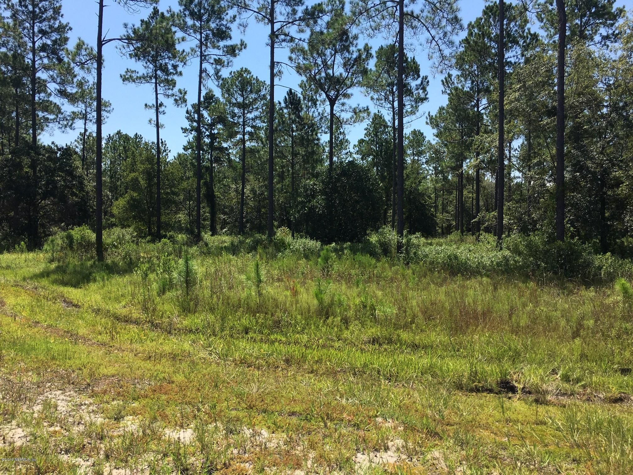 Lake Butler, Union County, FL Undeveloped Land, Lakefront Property