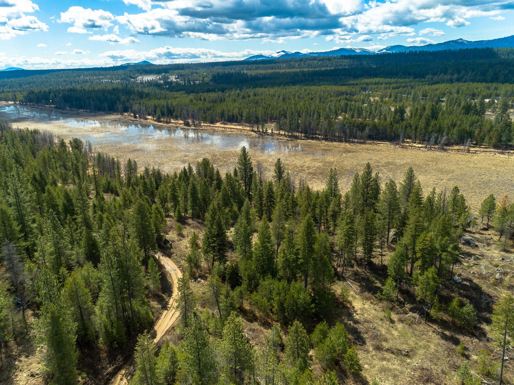 Athol, Bonner County, ID Undeveloped Land for sale Property ID