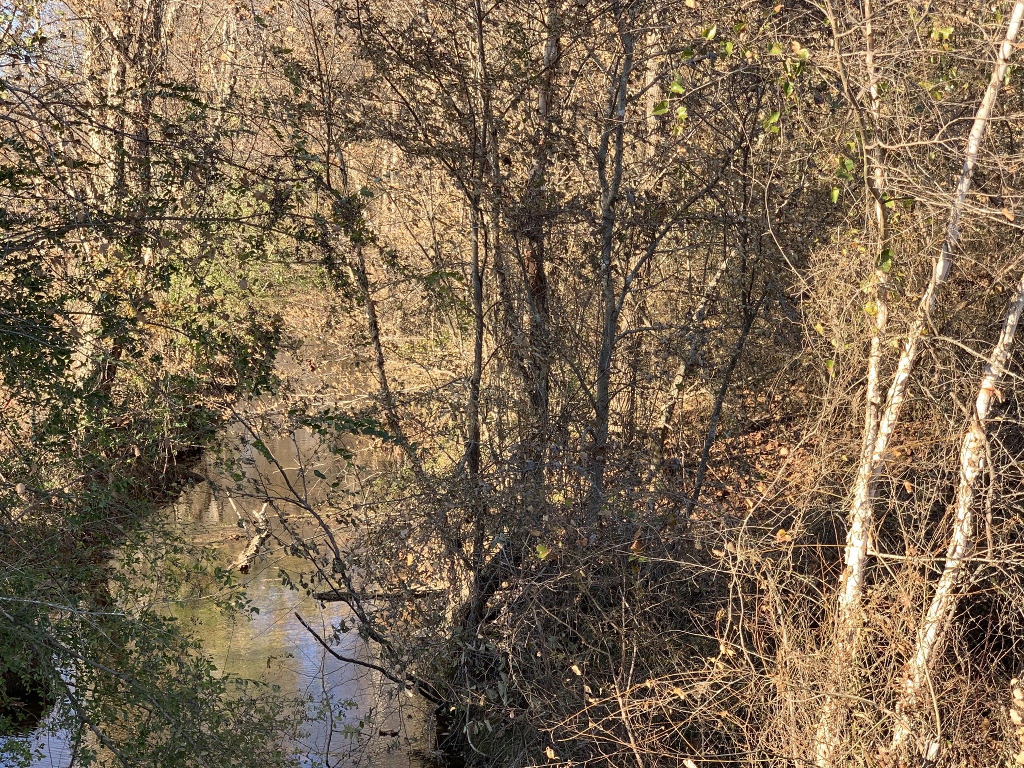 Iron City, Wayne County, TN Undeveloped Land for sale Property ID 338542558 LandWatch