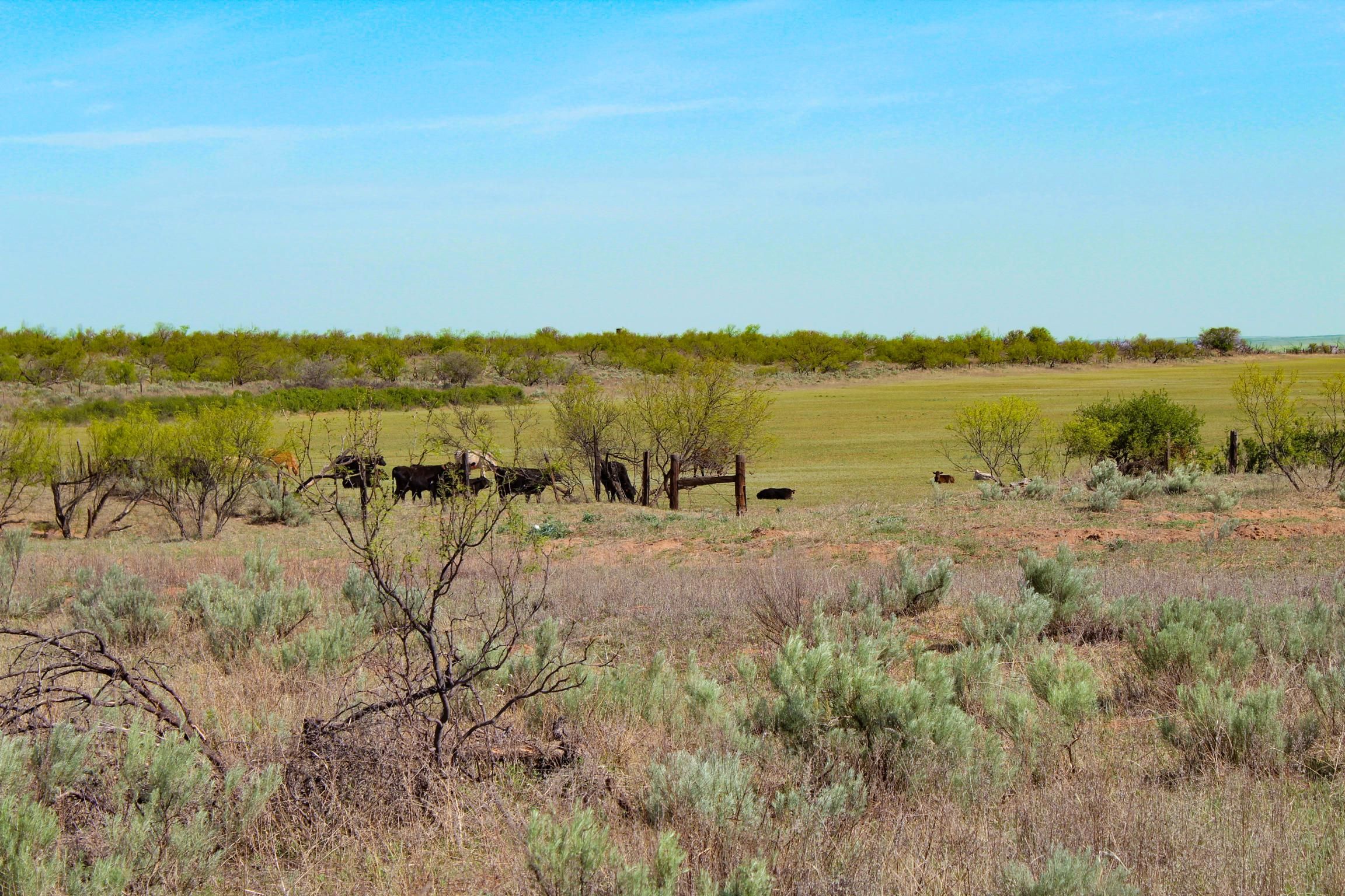 Childress, Childress County, TX Farms and Ranches, Recreational