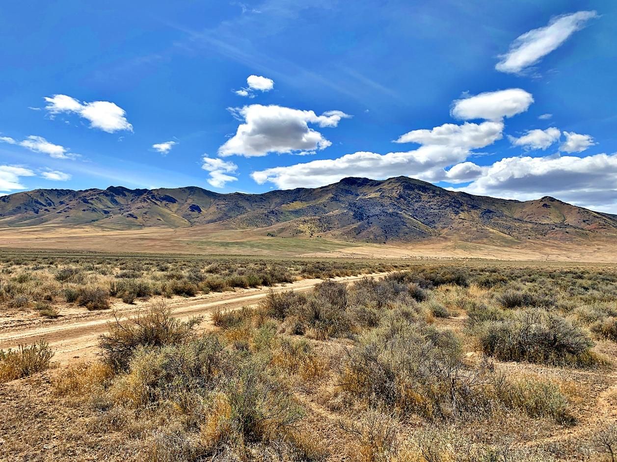 Winnemucca, Pershing County, NV Farms and Ranches, Horse Property for