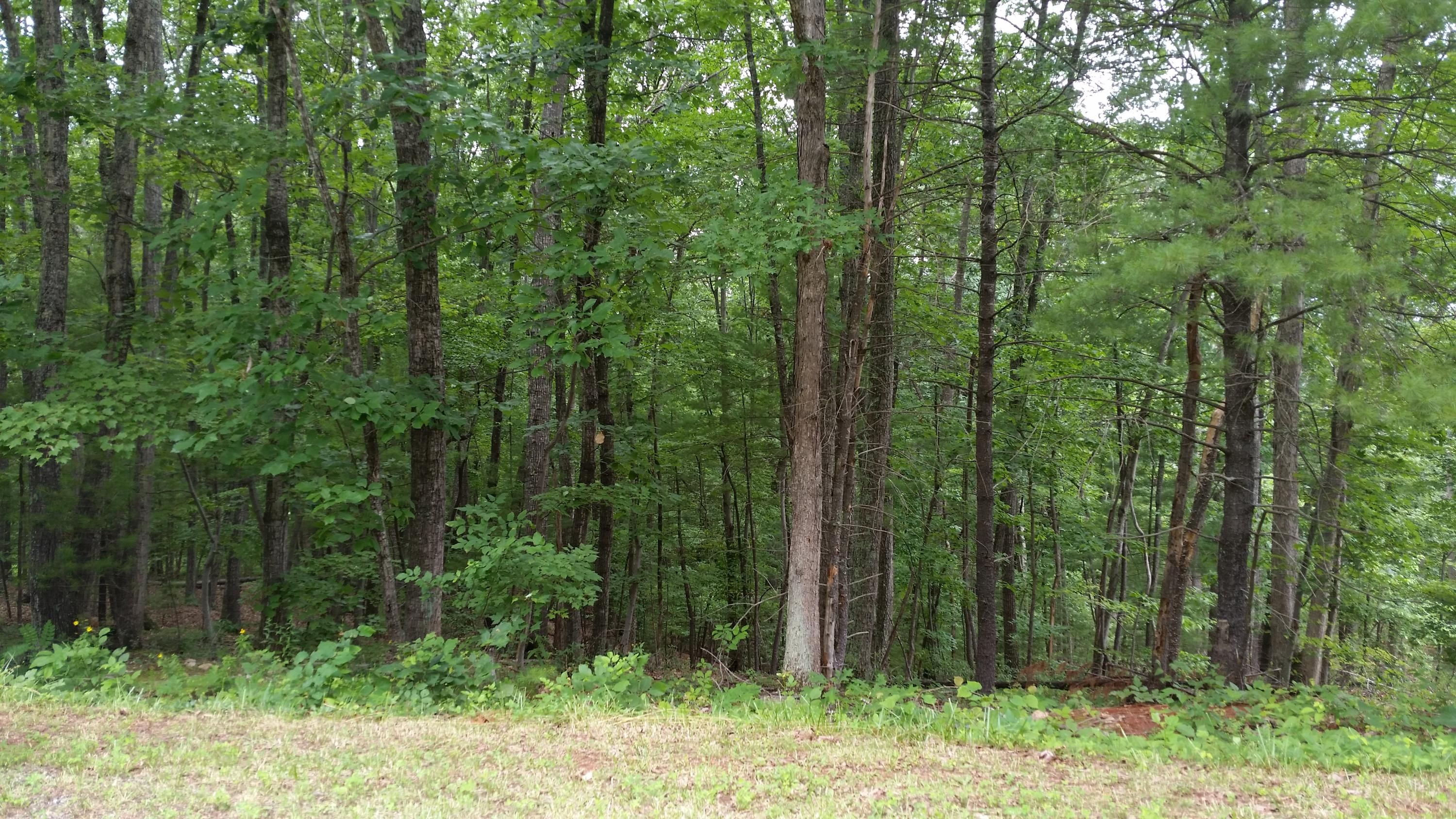 Boones Mill, Franklin County, VA Undeveloped Land, Homesites for sale