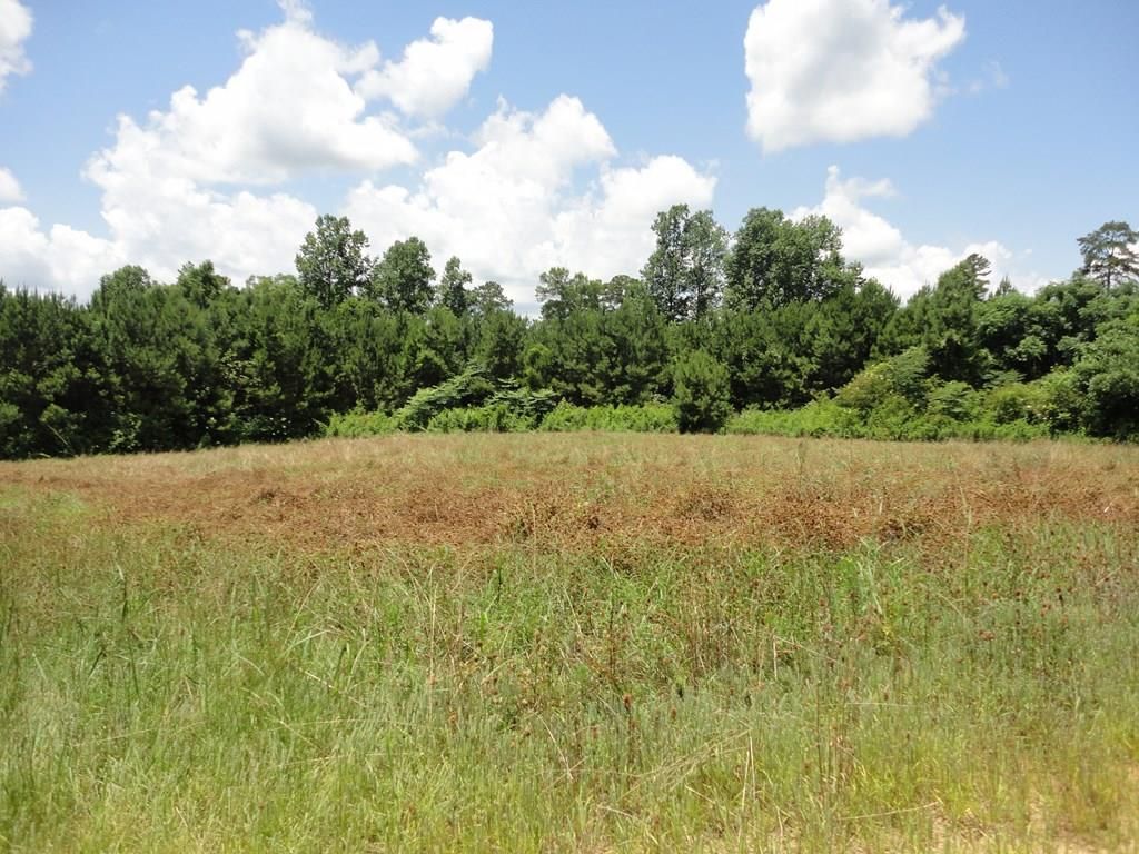 Mccall Creek, Franklin County, MS Undeveloped Land for sale Property ID 338034299 LandWatch