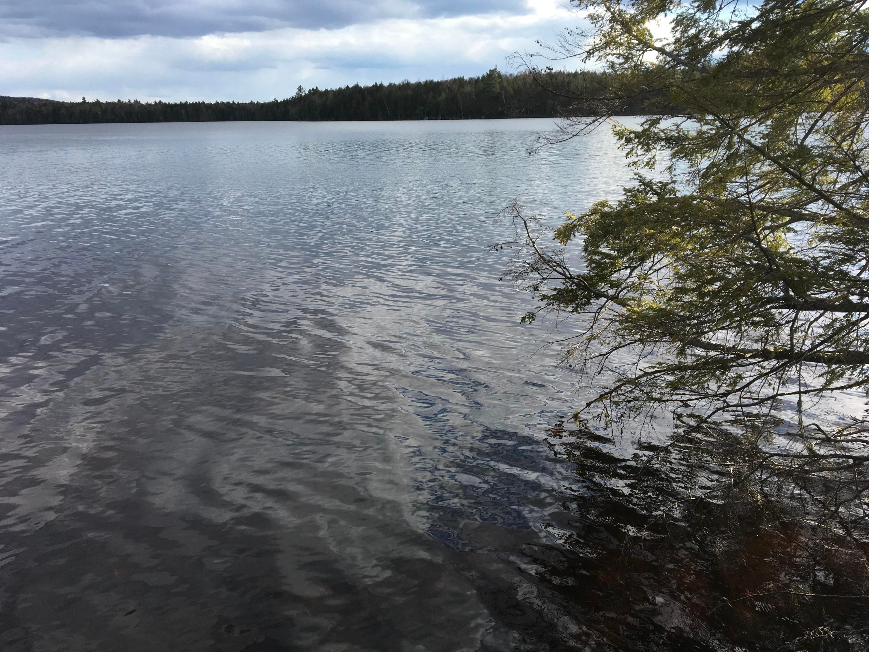 Lakeville, Penobscot County, ME Undeveloped Land, Lakefront Property
