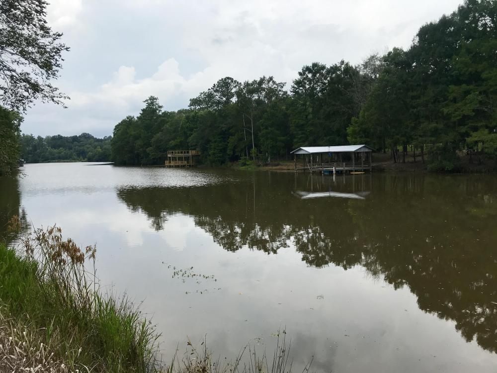 Red Level, Covington County, AL Riverfront Property, Waterfront Property, Homesites for sale