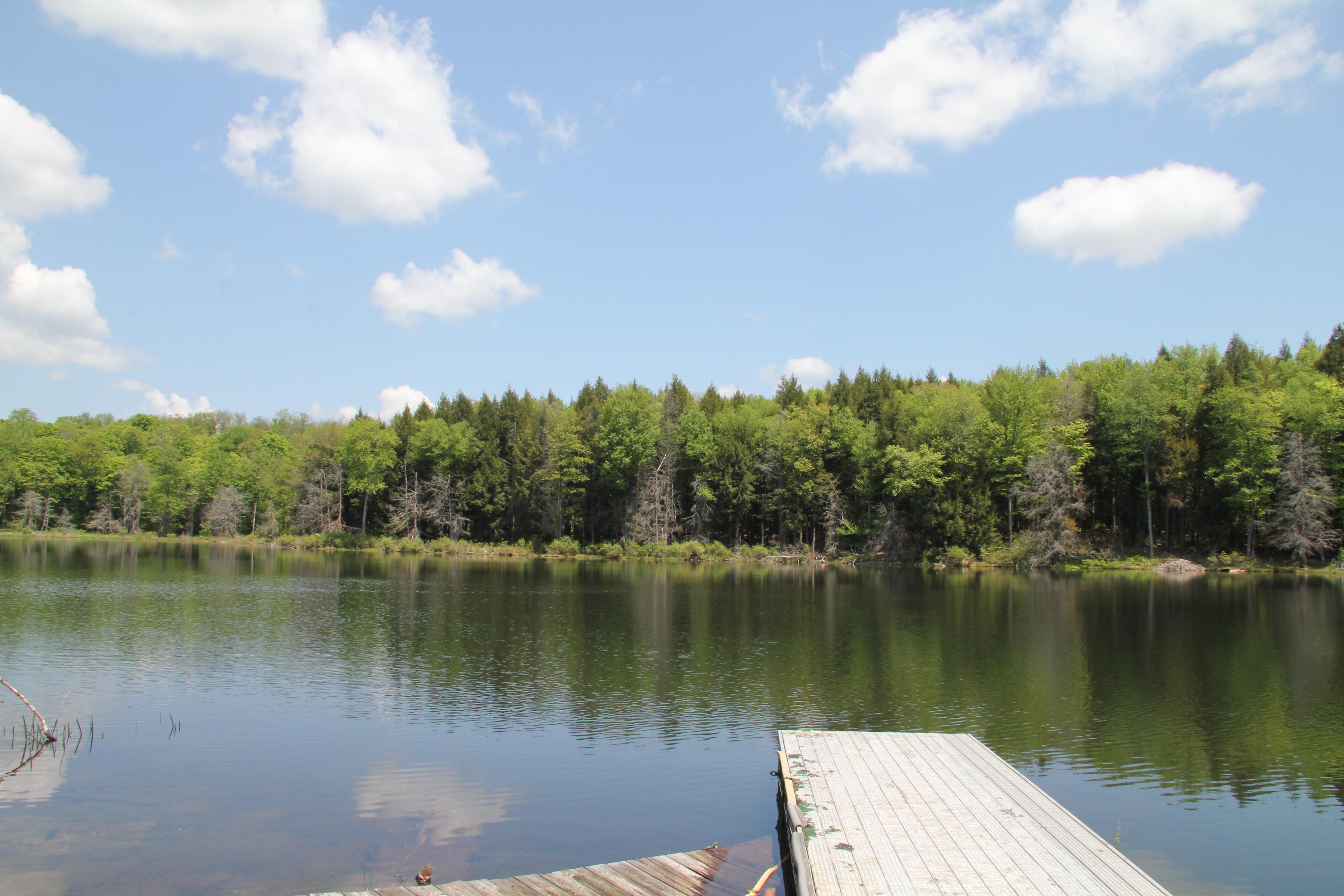Lake Como, Wayne County, PA House for sale Property ID 338149081