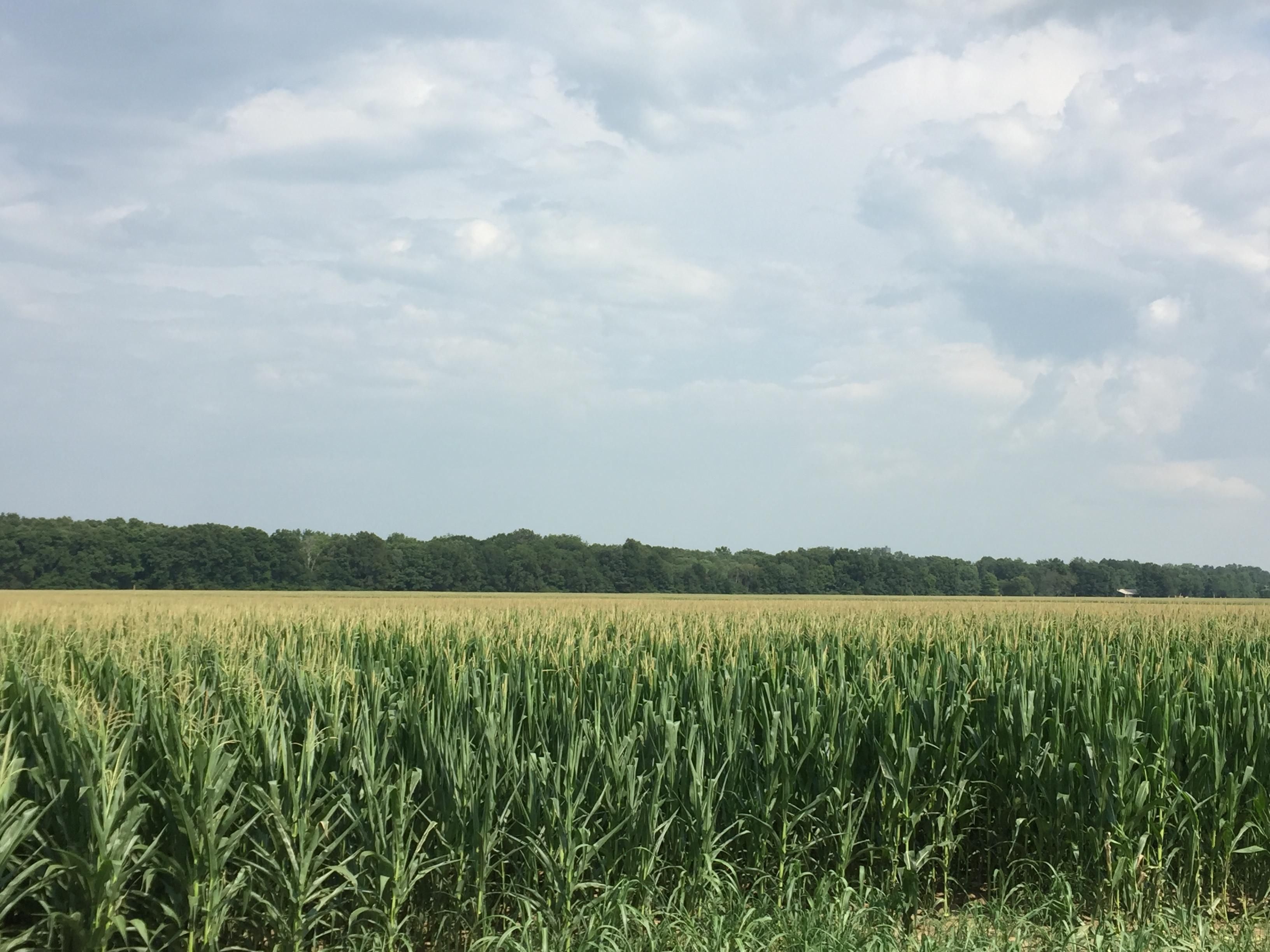 Brinkley, Monroe County, AR Farms and Ranches, Recreational Property