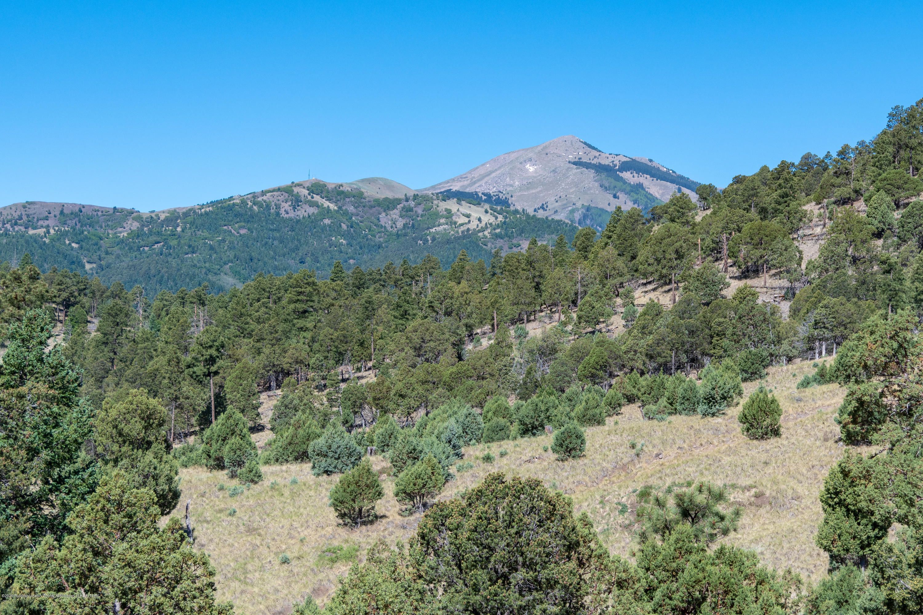 Ruidoso, Lincoln County, NM Undeveloped Land for sale Property ID
