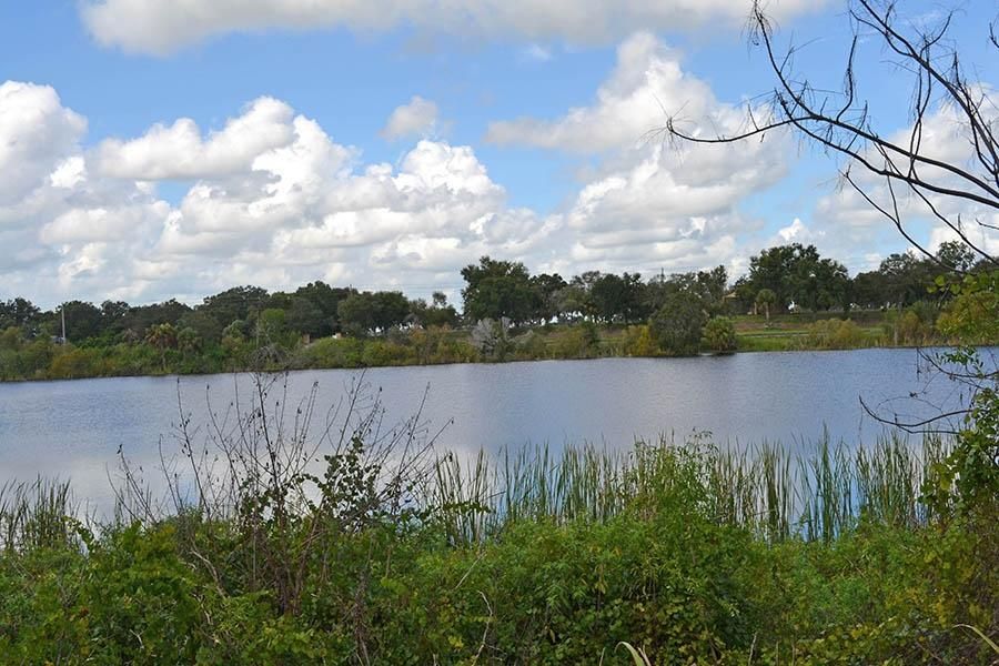 Lake Wales, Polk County, FL Undeveloped Land for sale Property ID
